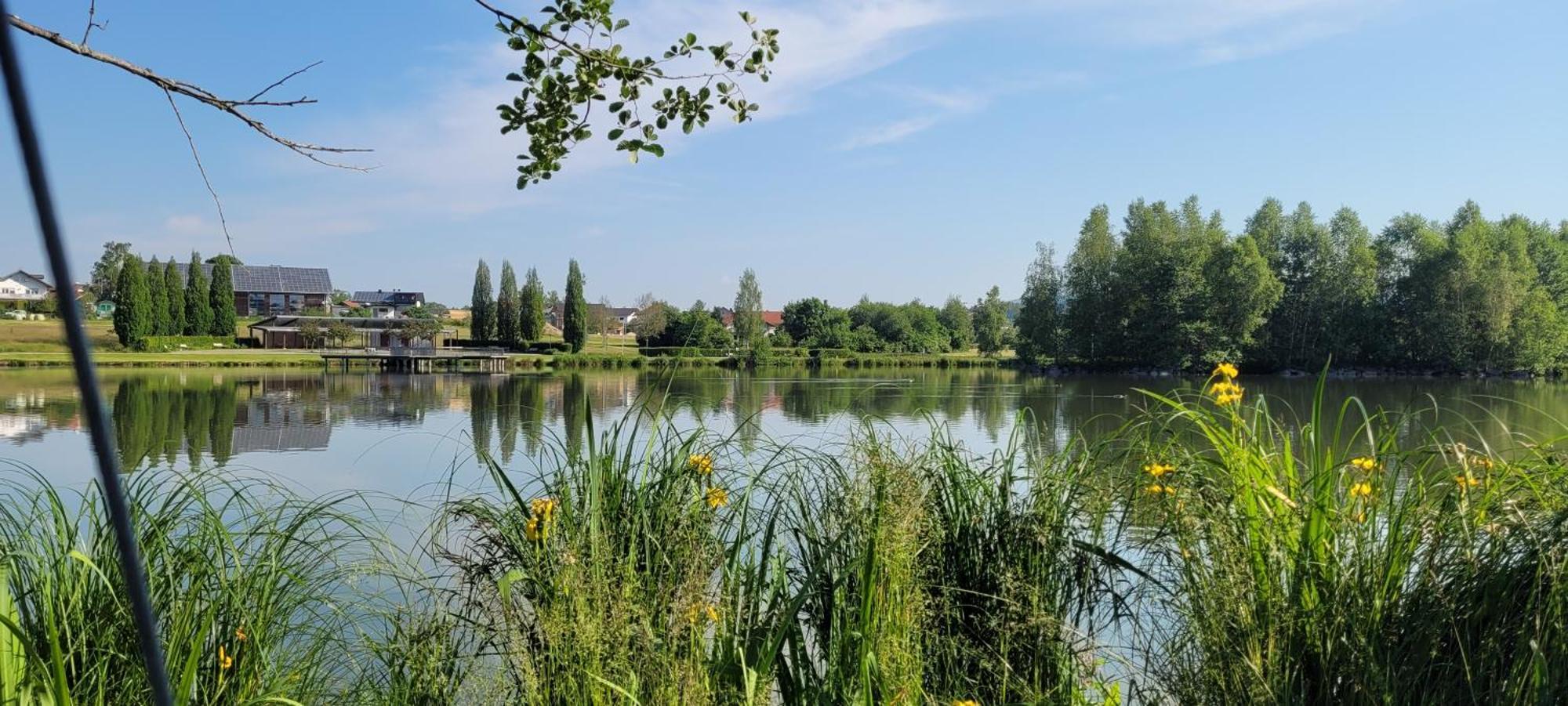 Jandelsbrunn Ferienwohnung Bayerwaldblick מראה חיצוני תמונה