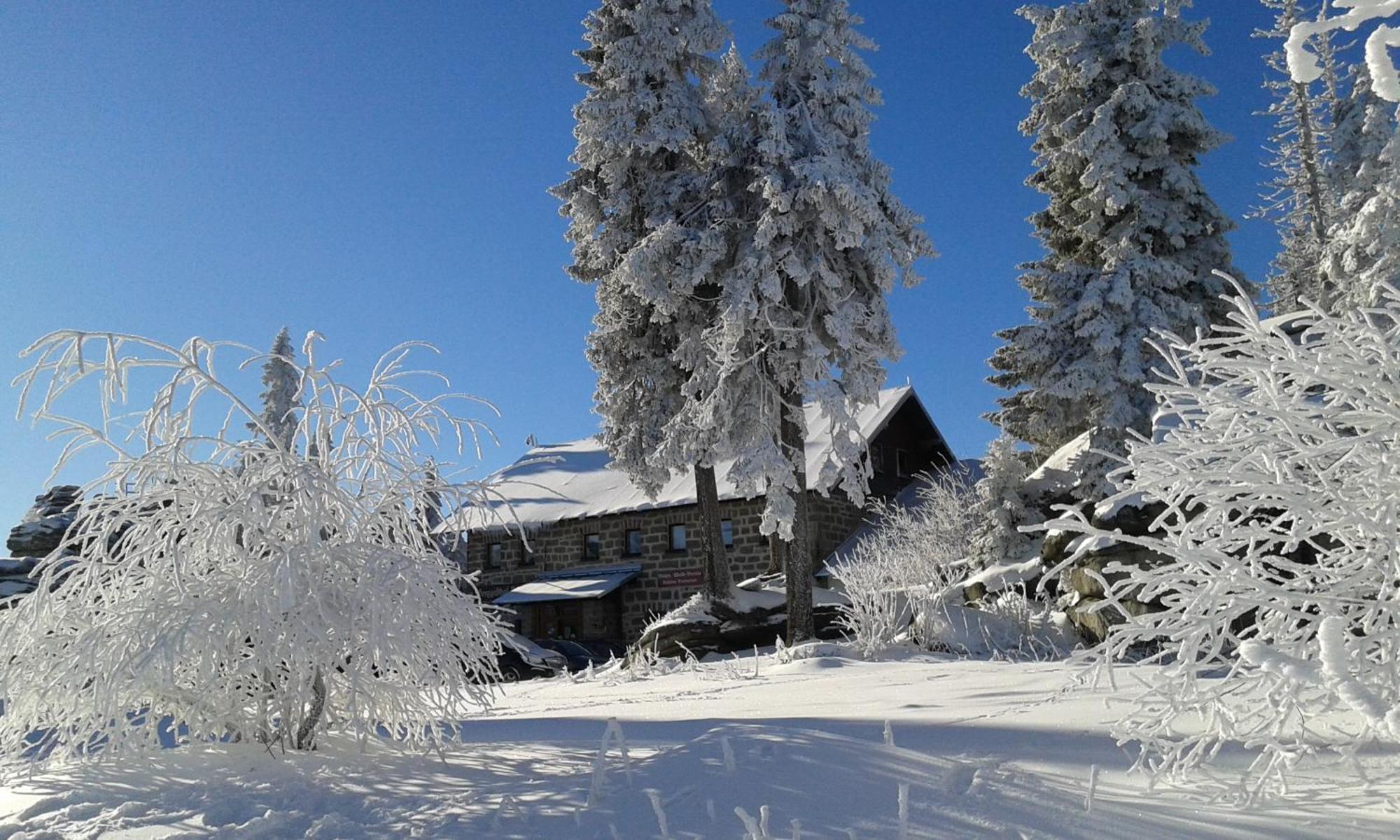 Jandelsbrunn Ferienwohnung Bayerwaldblick מראה חיצוני תמונה